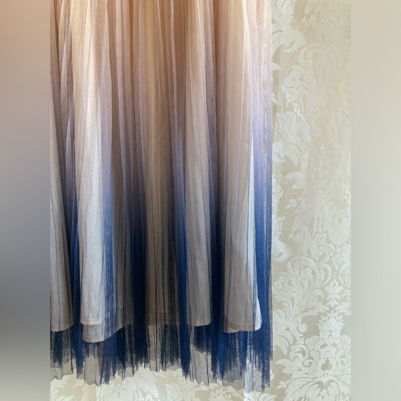 CHICWISH Size S/M - Gradient Mesh Tulle Pleated Dress - Picture 4 of 14